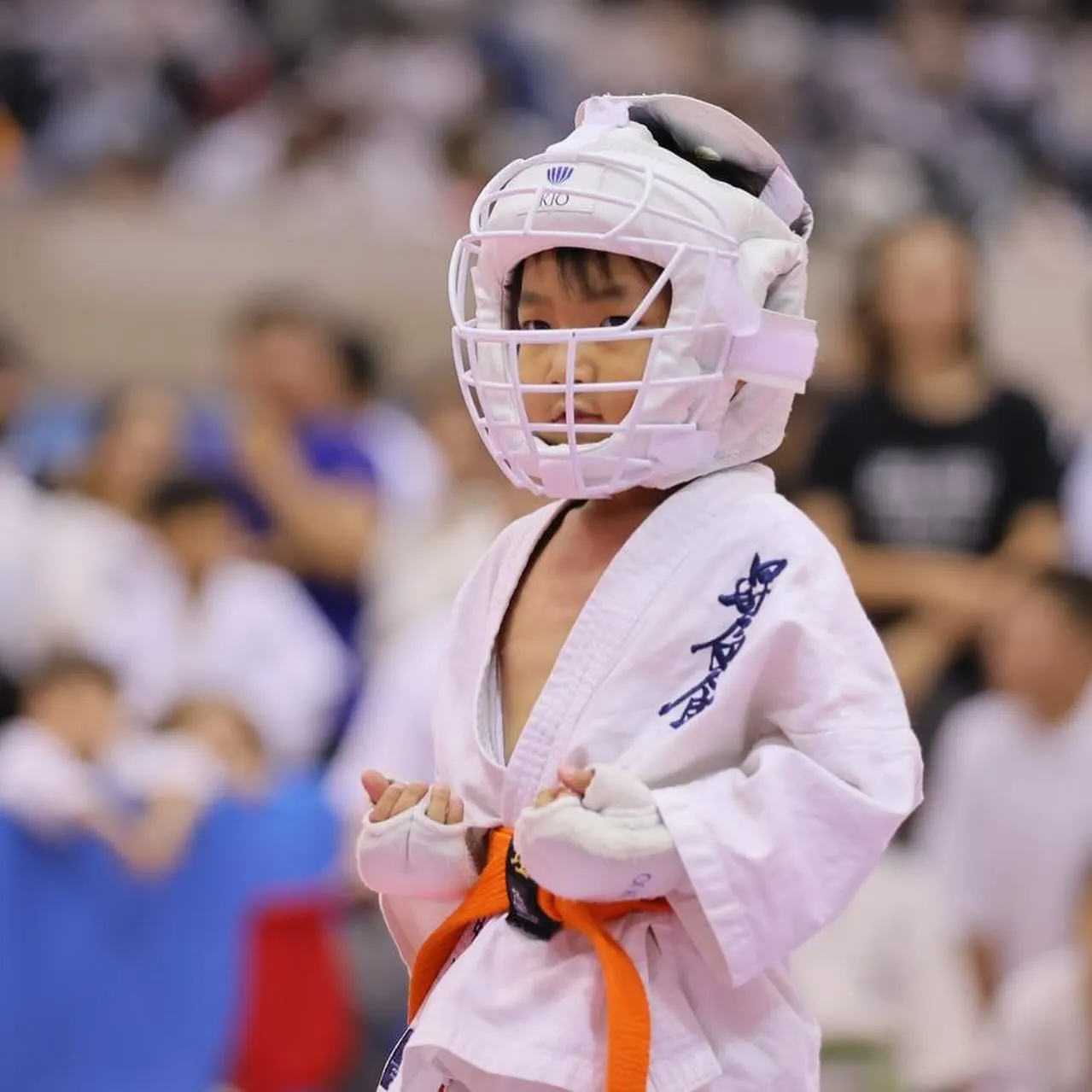 🥋🔥【だんじりバトル参加〆切迫る！】🔥🥋